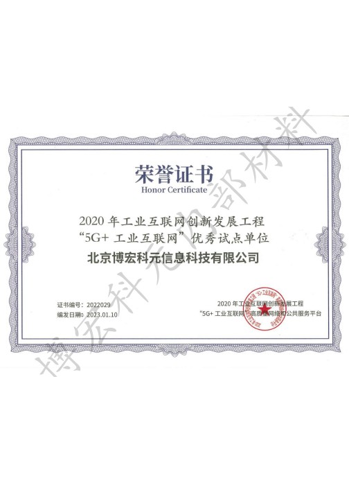 5G+工业互联网荣誉证书